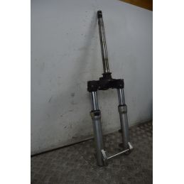 Forcella Aprilia Scarabeo 500 dal 2002 al 2006  1737622926270