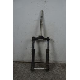 Forcella Aprilia SR 50 Ditech IE dal 2000 al 2004  1737732360551