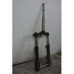 Forcella Aprilia SR 50 Ditech IE dal 2000 al 2004  1737732360551