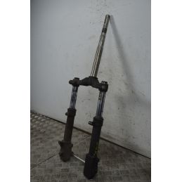 Forcella Aprilia SR 50 Ditech IE dal 2000 al 2004  1737732360551