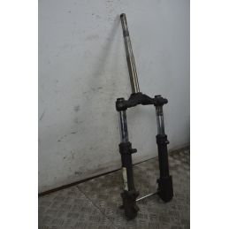 Forcella Aprilia SR 50 Ditech IE dal 2000 al 2004  1737732360551