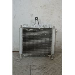 Radiatore Con Elettroventola Aprilia Scarabeo 500 dal 2007 al 2012  1737966498617