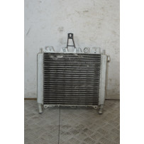 Radiatore Con Elettroventola Aprilia Scarabeo 500 dal 2007 al 2012  1737966498617