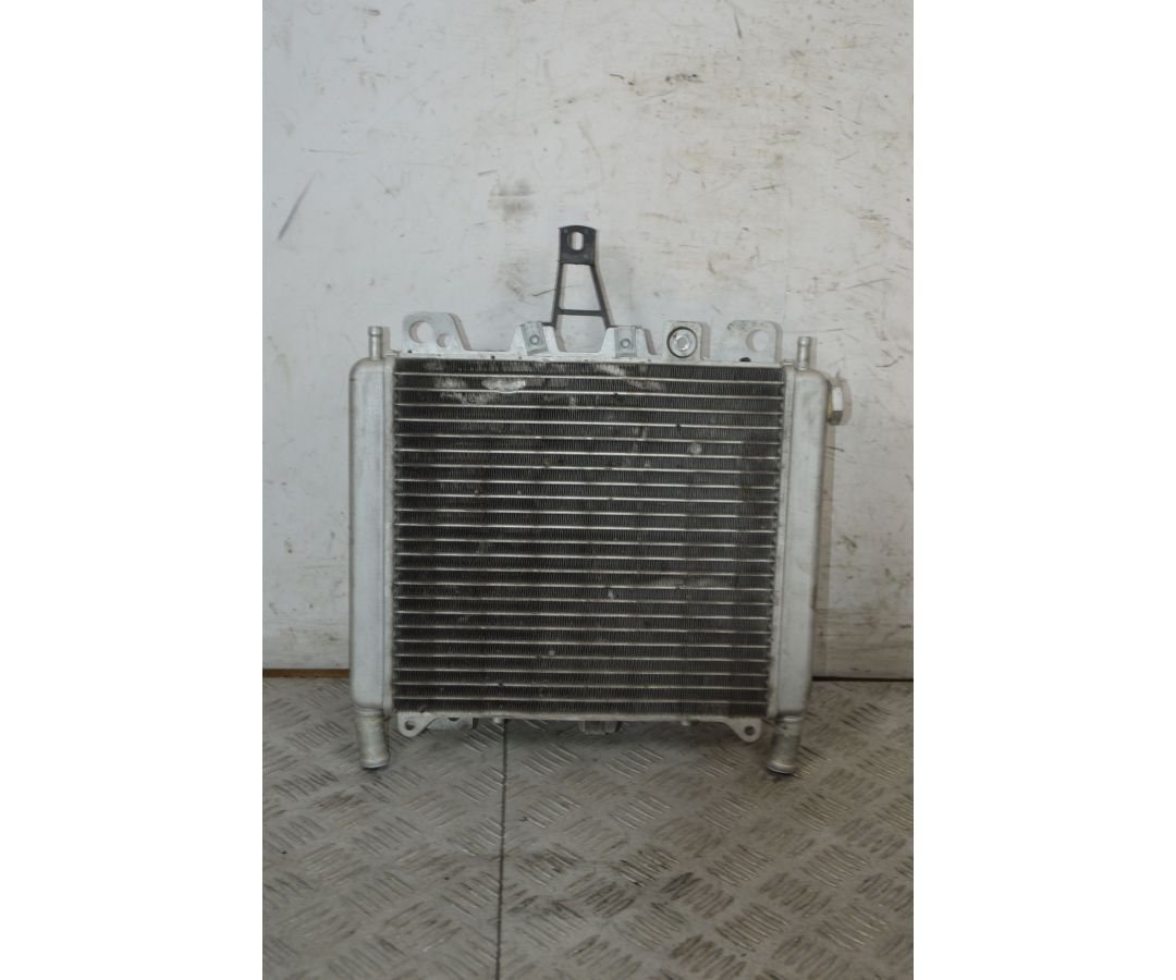 Radiatore Con Elettroventola Aprilia Scarabeo 500 dal 2007 al 2012  1737966498617