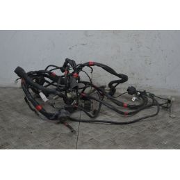 Cablaggio Impianto Elettrico Aprilia Scarabeo 500 dal 2007 al 2012  1737971017650