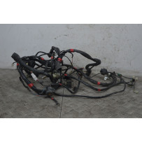Cablaggio Impianto Elettrico Aprilia Scarabeo 500 dal 2007 al 2012  1737971017650