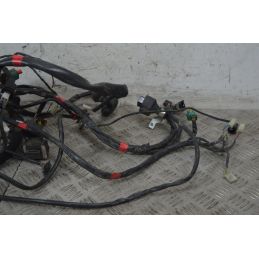Cablaggio Impianto Elettrico Aprilia Scarabeo 500 dal 2007 al 2012  1737971017650