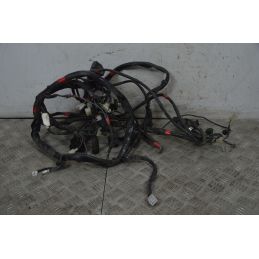 Cablaggio Impianto Elettrico Aprilia Scarabeo 500 dal 2007 al 2012  1737971017650