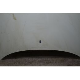 Cofano Anteriore Fiat Seicento Dal 1998 al 2010 Cod 46511948  1738138048869