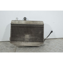 Radiatore Con Elettroventola Suzuki Burgman 400 K7 dal 2007 al 2013  1739444401652