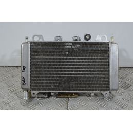 Radiatore Con Elettroventola Piaggio Beverly 200 dal 2001 al 2010  1739446329022