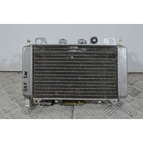 Radiatore Con Elettroventola Piaggio Beverly 200 dal 2001 al 2010  1739446329022