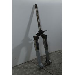 Forcella Piaggio Liberty RST 50 dal 2004 al 2008  1739958055662