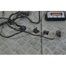 Centralina Power Commander III Honda CBR 600 F Dal 2001 al 2002  1740049775499