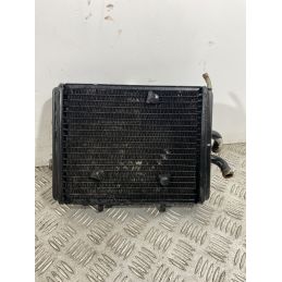 Radiatore Con Elettroventola Piaggio Carnaby Cruiser 300 dal 2008 al 2013  1740672970179