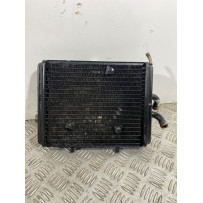 Radiatore Con Elettroventola Piaggio Carnaby Cruiser 300 dal 2008 al 2013  1740672970179