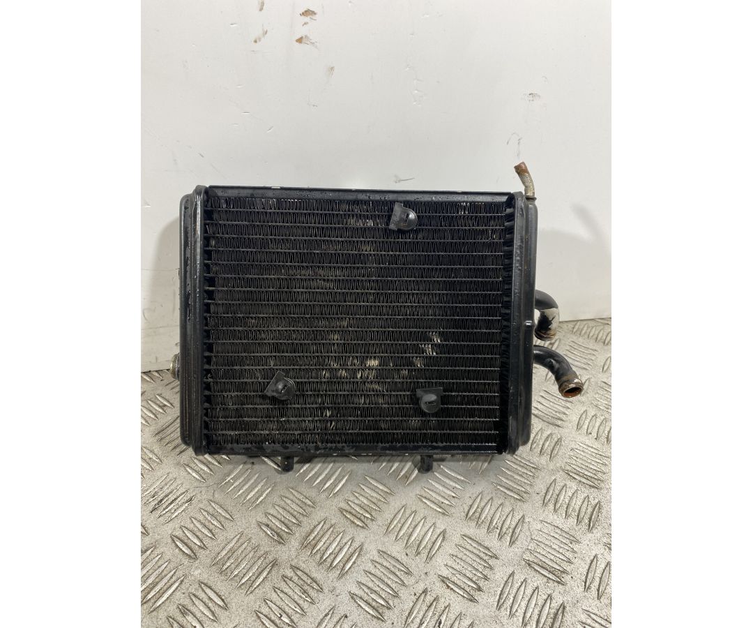 Radiatore Con Elettroventola Piaggio Carnaby Cruiser 300 dal 2008 al 2013  1740672970179