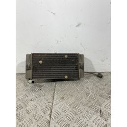 Radiatore Con Elettroventola Yamaha X-Max XMax 250 Dal 2010 al 2013  1740995475108