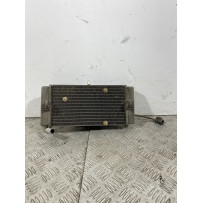 Radiatore Con Elettroventola Yamaha X-Max XMax 250 Dal 2010 al 2013  1740995475108