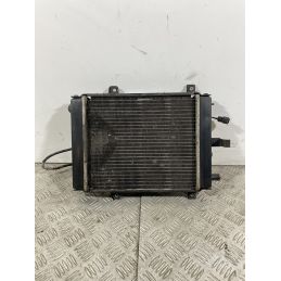 Radiatore Con Elettroventola Kymco Xciting 300 dal 2008 al 2011  1740996416773