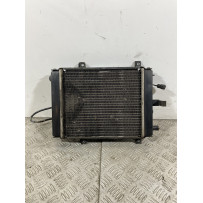 Radiatore Con Elettroventola Kymco Xciting 300 dal 2008 al 2011  1740996416773