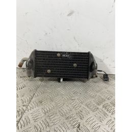 Radiatore Con Elettroventola Yamaha Xmax X-max 250 dal 2005 al 2009  1741000729650