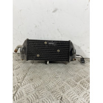 Radiatore Con Elettroventola Yamaha Xmax X-max 250 dal 2005 al 2009  1741000729650