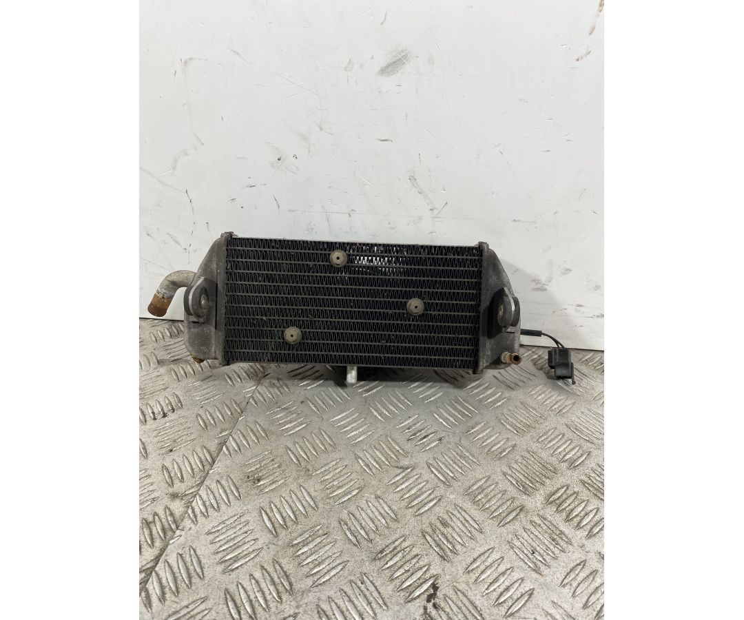 Radiatore Con Elettroventola Yamaha Xmax X-max 250 dal 2005 al 2009  1741000729650