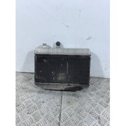 Radiatore Con Elettroventola Suzuki Burgman 400 K7 dal 2007 al 2013  1741015239748