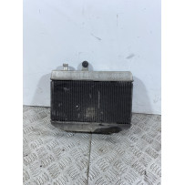 Radiatore Con Elettroventola Suzuki Burgman 400 K7 dal 2007 al 2013  1741015239748