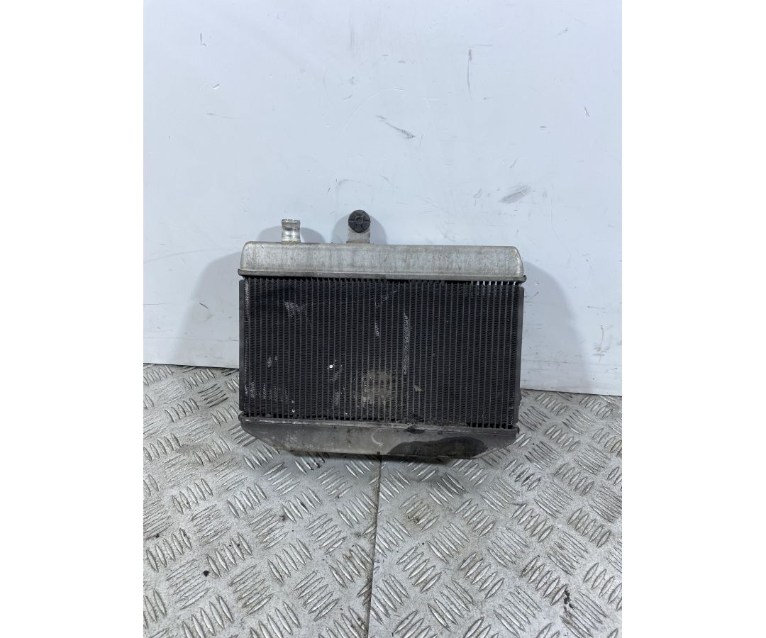 Radiatore Con Elettroventola Suzuki Burgman 400 K7 dal 2007 al 2013  1741015239748