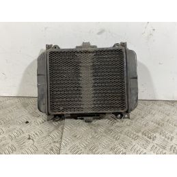 Radiatore Con Elettroventola Kawasaki GPZ 500S Dal 1988 Al 1993  1741186510233