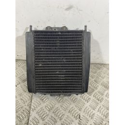 Radiatore Con Elettroventola Piaggio MP3 300 Dal 2010 al 2016  1741191403940