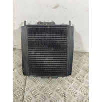 Radiatore Con Elettroventola Piaggio MP3 300 Dal 2010 al 2016  1741191403940