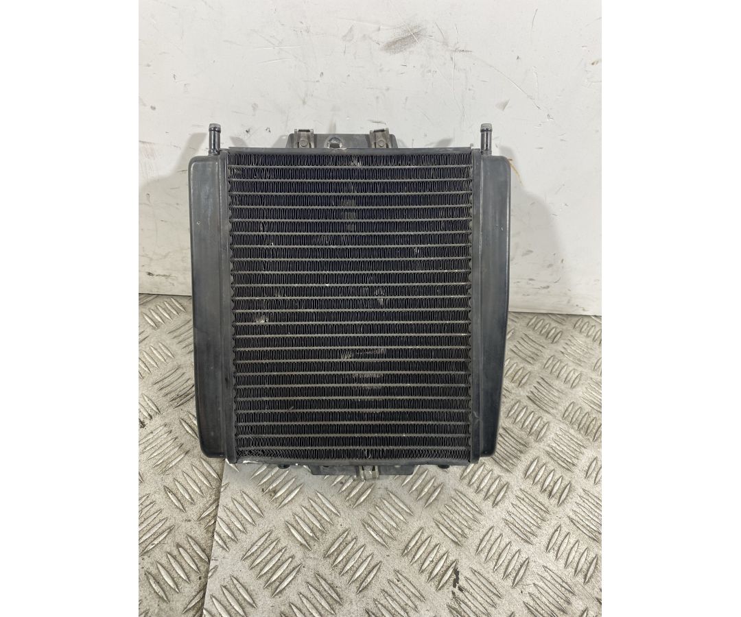 Radiatore Con Elettroventola Piaggio MP3 300 Dal 2010 al 2016  1741191403940
