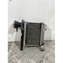 Radiatore Yamaha Neo's 50 4T Dal 2014 Al 2018  1741356460955