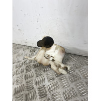 Vaschetta Acqua Yamaha Neo's 50 4T Dal 2014 Al 2018  1741357433729