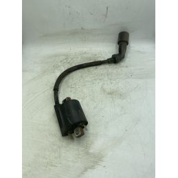 Bobina Accensione Yamaha Neo's 50 4T Dal 2014 Al 2018 COD 1C0-00  1741361003475