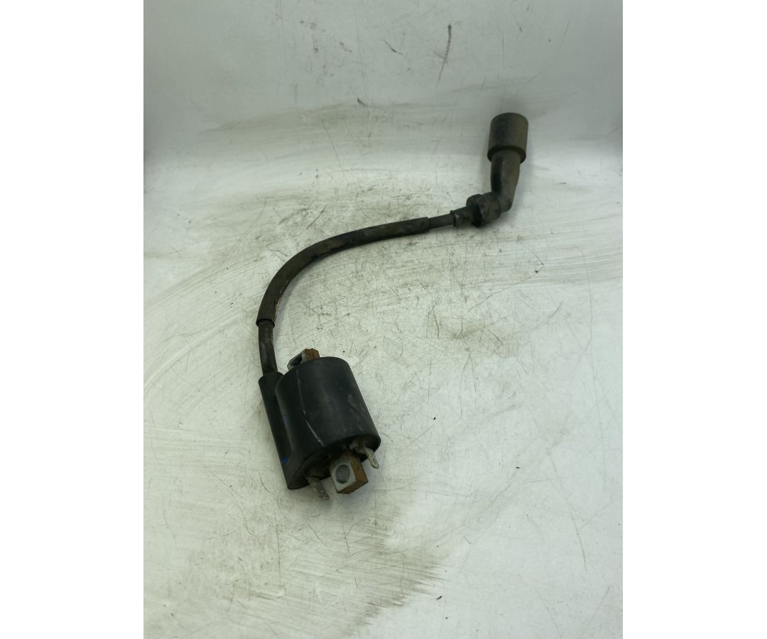 Bobina Accensione Yamaha Neo's 50 4T Dal 2014 Al 2018 COD 1C0-00  1741361003475