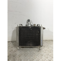 Radiatore Con Elettroventola Piaggio Beverly 250 carb dal 2001 al 2010  1741708769972