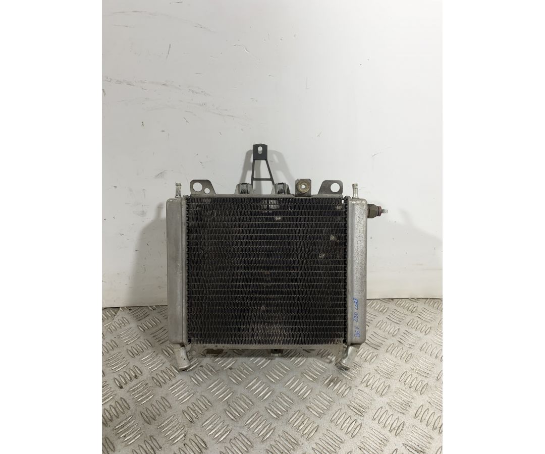 Radiatore Con Elettroventola Piaggio Beverly 250 carb dal 2001 al 2010  1741708769972