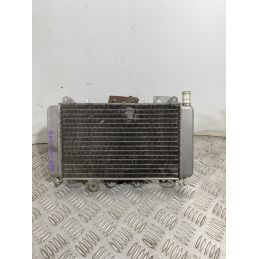 Radiatore Con Elettroventola Piaggio Beverly 200 dal 2001 al 2010  1741773841177