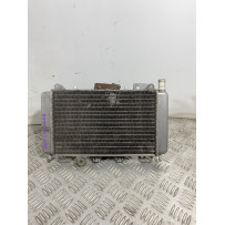 Radiatore Con Elettroventola Piaggio Beverly 200 dal 2001 al 2010  1741773841177