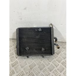 Radiatore Con Elettroventola Piaggio Carnaby Cruiser 300 dal 2008 al 2013  1741776598023