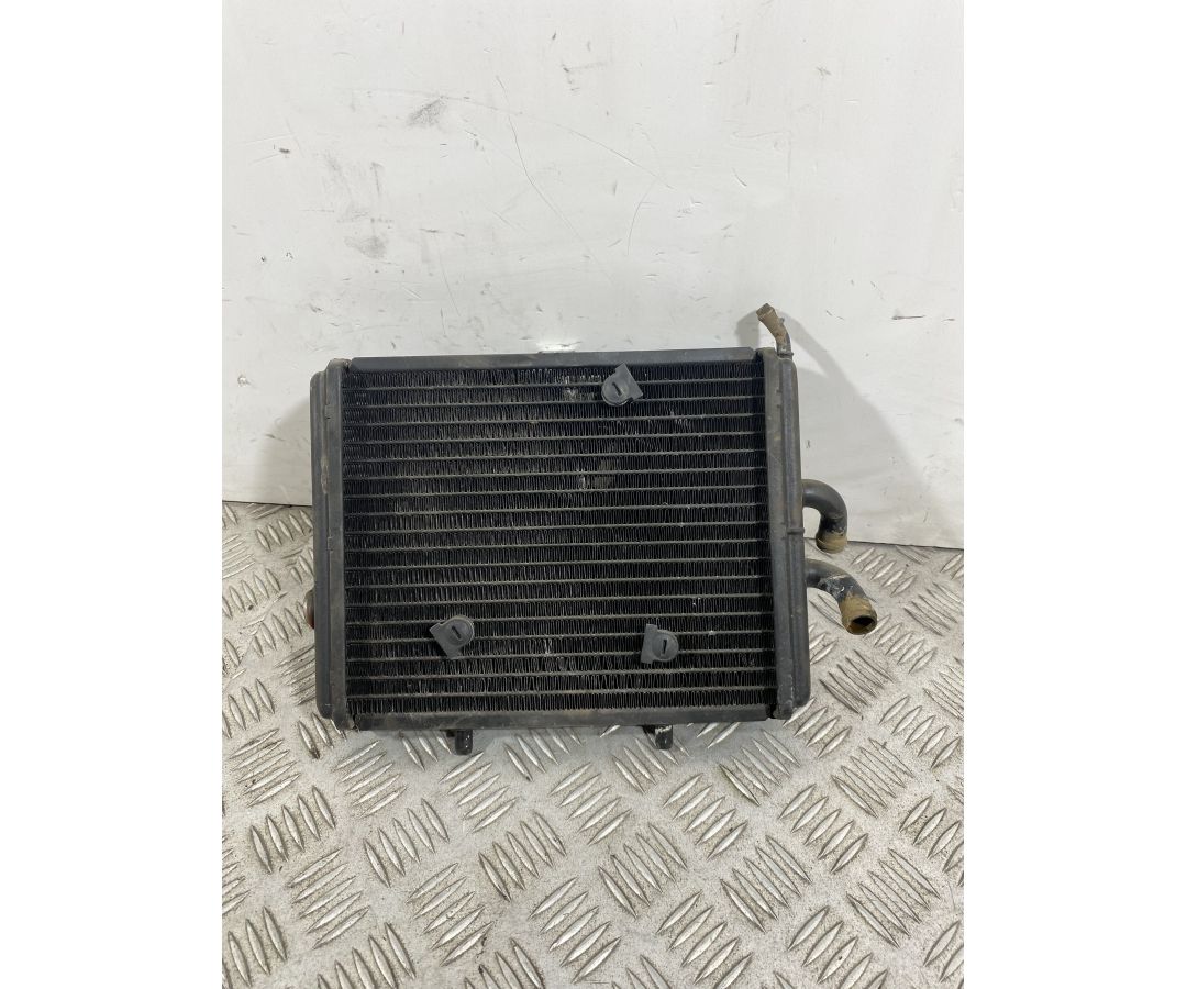 Radiatore Con Elettroventola Piaggio Carnaby Cruiser 300 dal 2008 al 2013  1741776598023