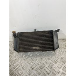 Radiatore Con Elettroventola Yamaha Majesty 400 dal 2004 al 2008  1741778786305