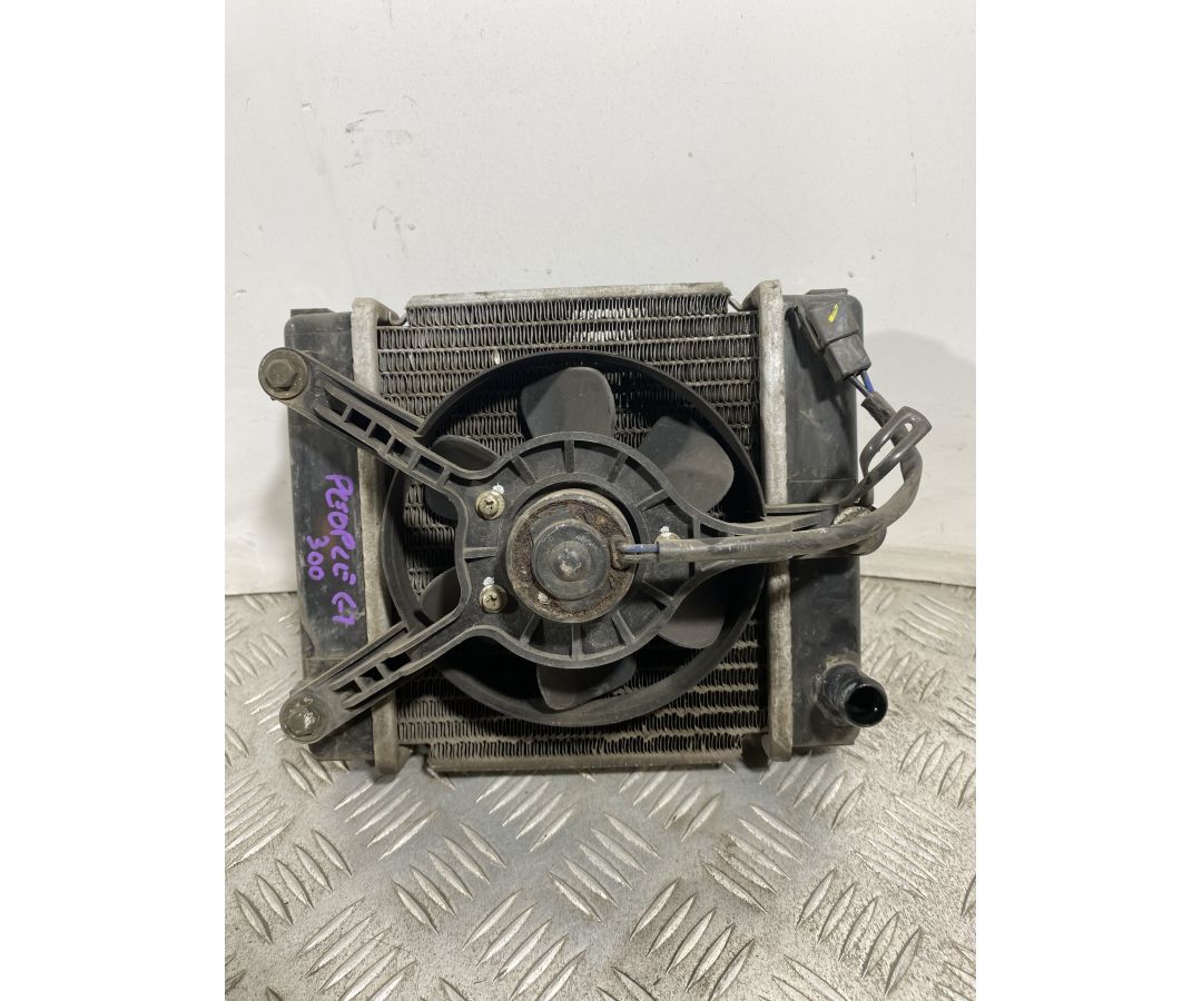Radiatore Con Elettroventola Kymco People GT 300 Dal 2010 al 2017  1741787536328