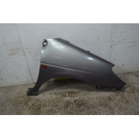 Parafango Anteriore DX Renault Megane Dal 1995 al 2003 Cod 7751696569  1741790247556
