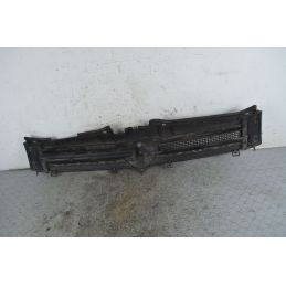 Griglia anteriore Fiat Panda Dal 2003 al 2012 Cod 735463491  1742209404119