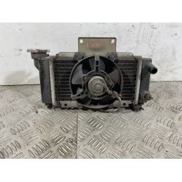 Radiatore Completo Peugeot LXR 200 dal 2009 al 2014  1742288581770